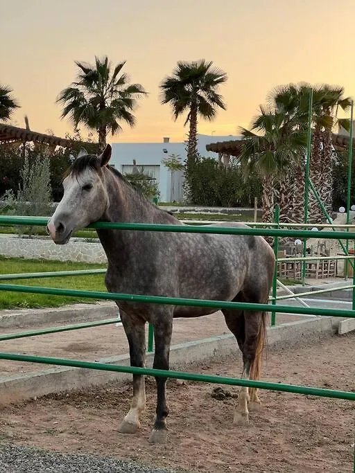 L0St Villa Marrakech Marrakesh Morocco